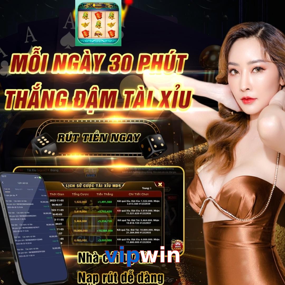 vipwin