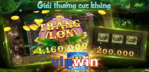 vipwin
