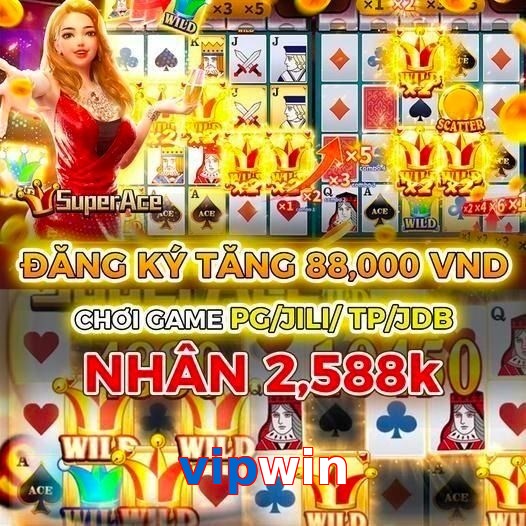 vipwin